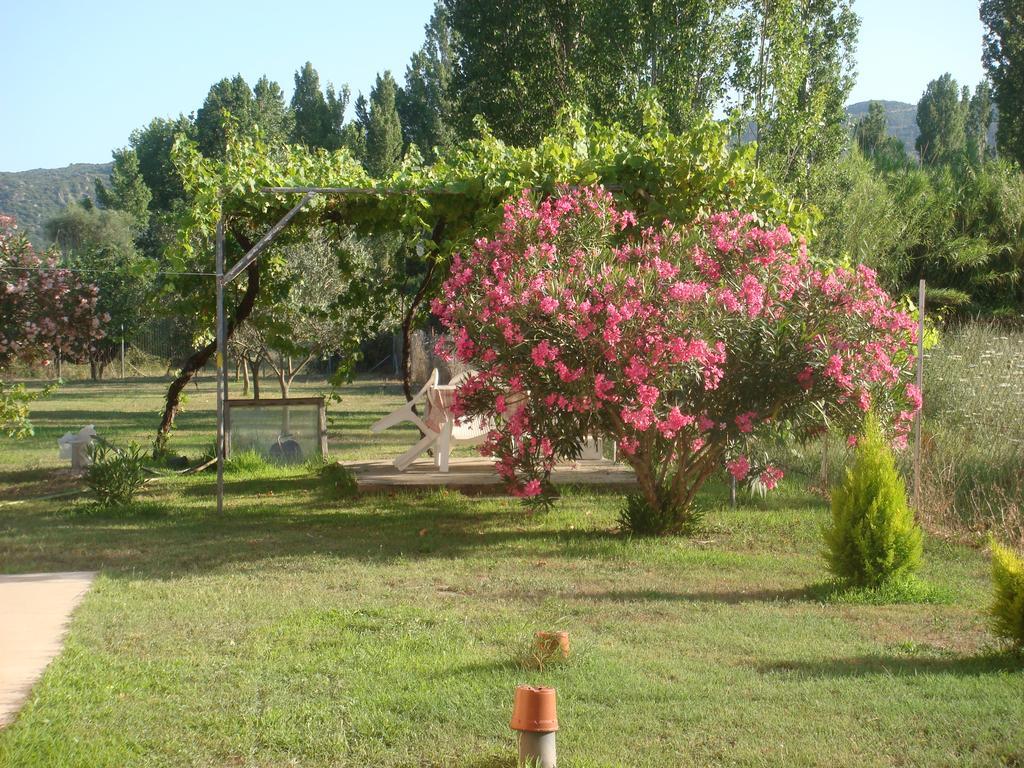 Villa Angela Sykia Chalkidikis Esterno foto