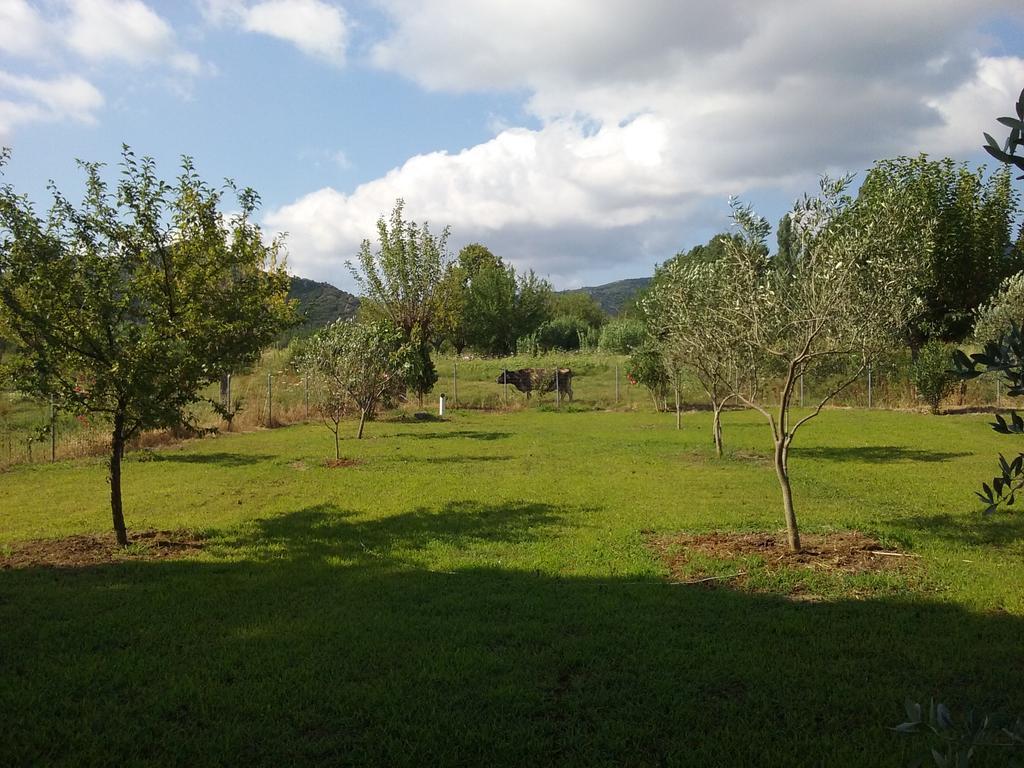 Villa Angela Sykia Chalkidikis Esterno foto